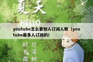 youtube怎么看别人订阅人数（youtube最多人订阅的）