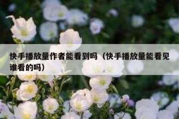 快手播放量作者能看到吗（快手播放量能看见谁看的吗）