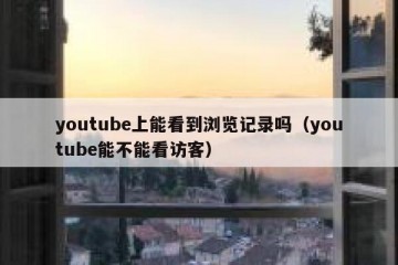 youtube上能看到浏览记录吗（youtube能不能看访客）