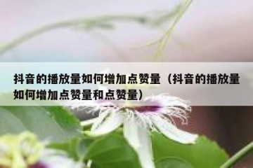 抖音的播放量如何增加点赞量（抖音的播放量如何增加点赞量和点赞量）