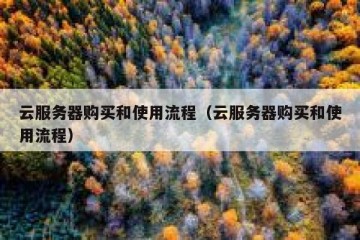 云服务器购买和使用流程（云服务器购买和使用流程）