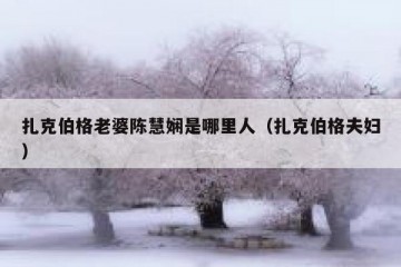 扎克伯格老婆陈慧娴是哪里人（扎克伯格夫妇）