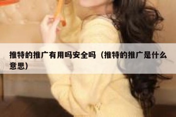 推特的推广有用吗安全吗（推特的推广是什么意思）