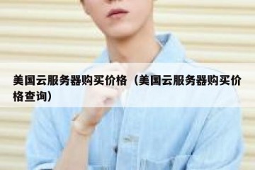 美国云服务器购买价格（美国云服务器购买价格查询）