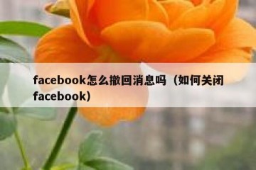 facebook怎么撤回消息吗（如何关闭facebook）