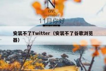 安装不了Twitter（安装不了谷歌浏览器）