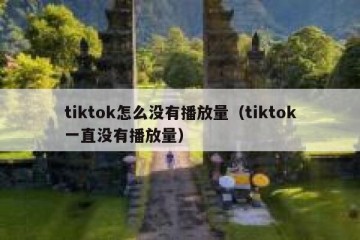 tiktok怎么没有播放量（tiktok一直没有播放量）