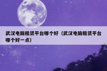 武汉电脑租赁平台哪个好（武汉电脑租赁平台哪个好一点）