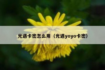 光遇卡密怎么用（光遇yoyo卡密）