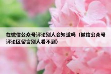 在微信公众号评论别人会知道吗（微信公众号评论区留言别人看不到）