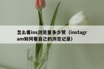 怎么看ins浏览量多少赞（instagram如何看自己的浏览记录）
