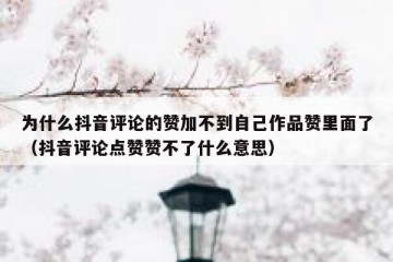 为什么抖音评论的赞加不到自己作品赞里面了（抖音评论点赞赞不了什么意思）