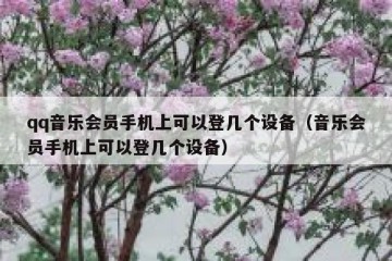 qq音乐会员手机上可以登几个设备（音乐会员手机上可以登几个设备）