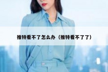 推特看不了怎么办（推特看不了了）