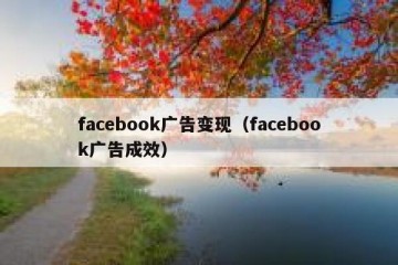 facebook广告变现（facebook广告成效）