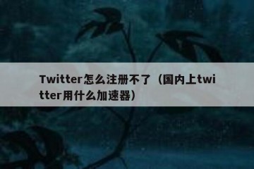 Twitter怎么注册不了（国内上twitter用什么加速器）