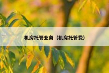 机房托管业务（机房托管费）