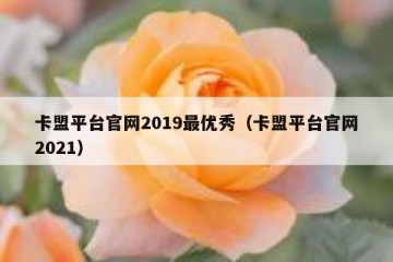 卡盟平台官网2019最优秀（卡盟平台官网2021）