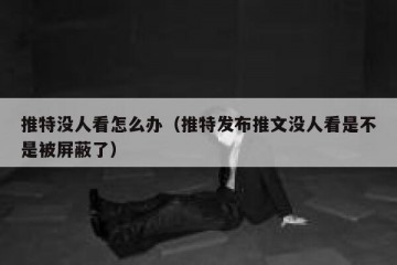 推特没人看怎么办（推特发布推文没人看是不是被屏蔽了）