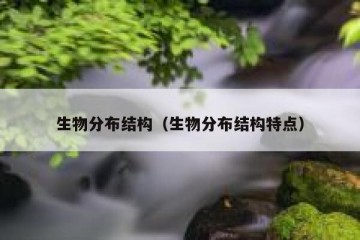 生物分布结构（生物分布结构特点）