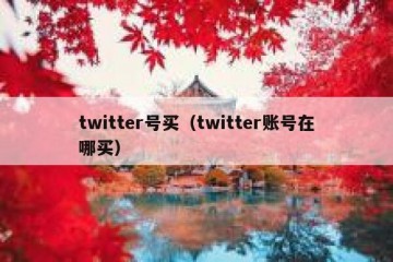 twitter号买（twitter账号在哪买）
