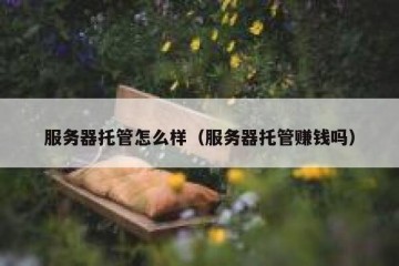 服务器托管怎么样（服务器托管赚钱吗）