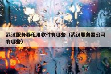 武汉服务器租用软件有哪些（武汉服务器公司有哪些）