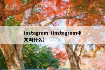 instagram（instagram中文叫什么）