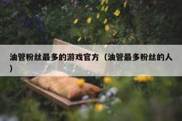 油管粉丝最多的游戏官方（油管最多粉丝的人）