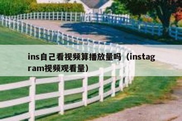 ins自己看视频算播放量吗（instagram视频观看量）
