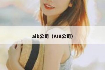 aib公司（AIB公司）