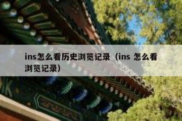 ins怎么看历史浏览记录（ins 怎么看浏览记录）