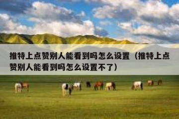 推特上点赞别人能看到吗怎么设置（推特上点赞别人能看到吗怎么设置不了）