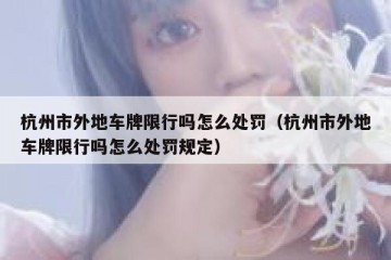 杭州市外地车牌限行吗怎么处罚（杭州市外地车牌限行吗怎么处罚规定）