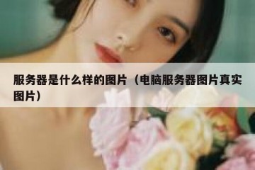 服务器是什么样的图片（电脑服务器图片真实图片）