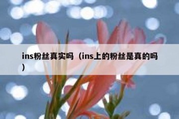 ins粉丝真实吗（ins上的粉丝是真的吗）