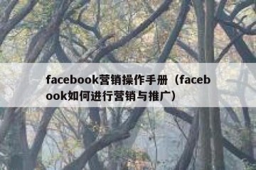 facebook营销操作手册（facebook如何进行营销与推广）
