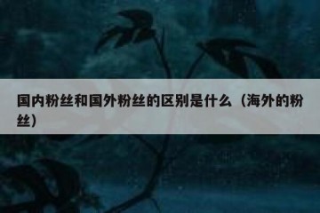 国内粉丝和国外粉丝的区别是什么（海外的粉丝）