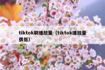 tiktok刷播放量（tiktok播放量很低）
