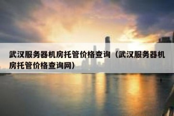 武汉服务器机房托管价格查询（武汉服务器机房托管价格查询网）
