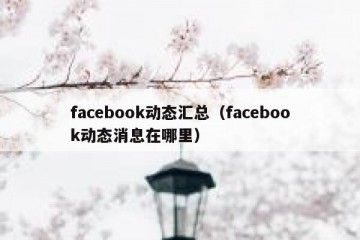 facebook动态汇总（facebook动态消息在哪里）