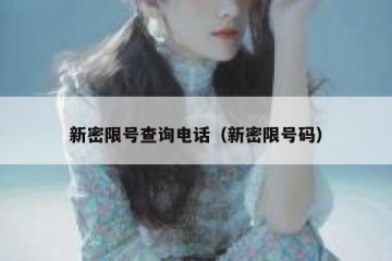 新密限号查询电话（新密限号码）