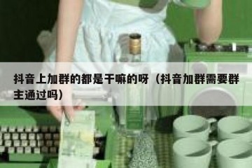抖音上加群的都是干嘛的呀（抖音加群需要群主通过吗）