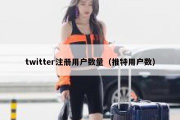 twitter注册用户数量（推特用户数）