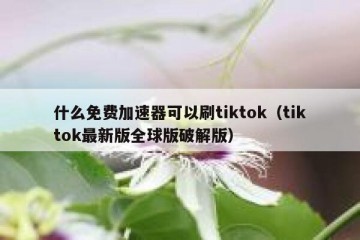 什么免费加速器可以刷tiktok（tiktok最新版全球版破解版）