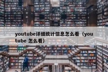 youtube详细统计信息怎么看（youtube 怎么看）