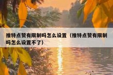 推特点赞有限制吗怎么设置（推特点赞有限制吗怎么设置不了）