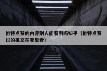 推特点赞的内容别人能看到吗知乎（推特点赞过的推文在哪里看）