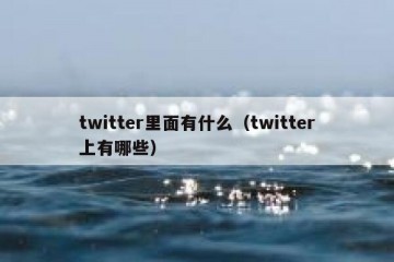 twitter里面有什么（twitter上有哪些）