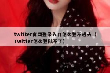twitter官网登录入口怎么登不进去（Twitter怎么登陆不了）